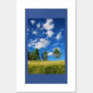 Trees with Cumulus Fractus Posters and Art